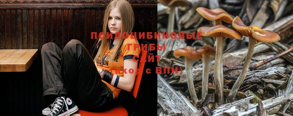 ECSTASY Абдулино